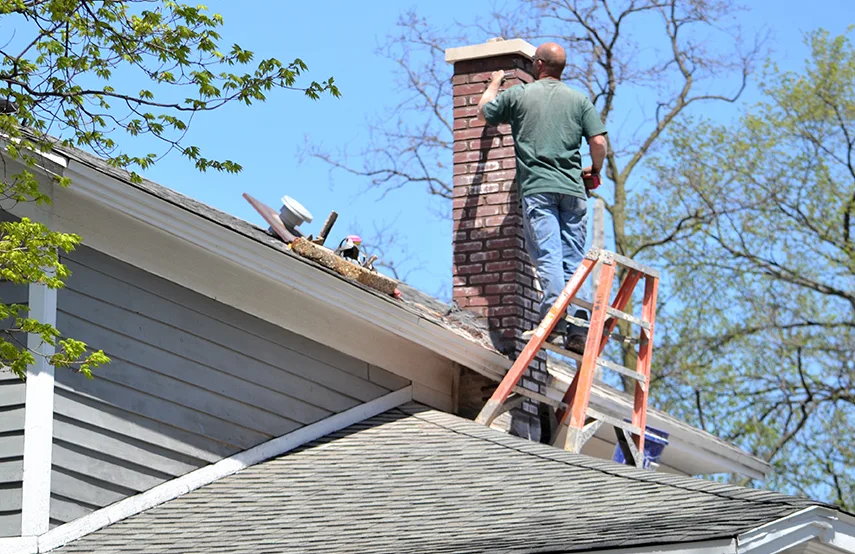 Chimney & Fireplace Inspections Services in Mountlake Terrace, WA